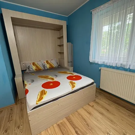 Appartement Garsoniera Brancusi *