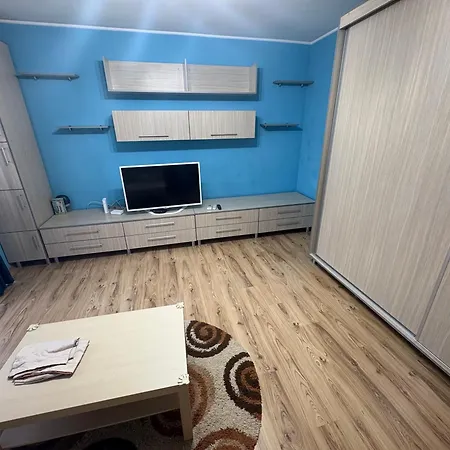 Garsoniera Brancusi Apartment