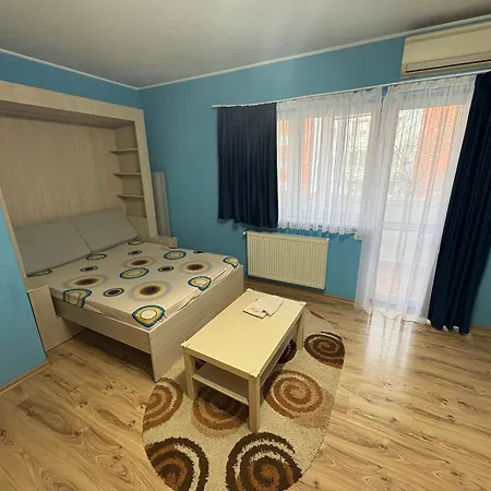 Apartment Garsoniera Brancusi